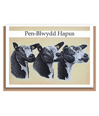 “3 Dutch spotted”