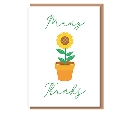 Many Thanks (potted sunflower)