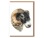 "“Scottish Blackface Tup”