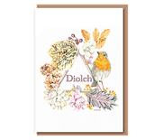 “Triangle Robin”. (Diolch)