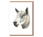 “Bluefaced Leicester”