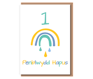 1 – Pen–blwydd Hapus (rain rainbow)