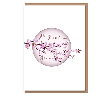 Thank you (cherry blossom)