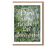 “Sunshine in the forest glades” Dim ond nodyn i'w ddweud