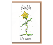 “Growing Groovy” 1 Dancing Star Flower – Diolch (ti'n seren)