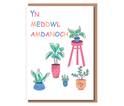 Meddwl Amdanoch Chi (house plants)