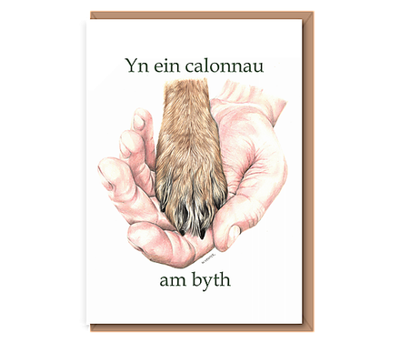 "Paw to Palm" Yn ein calonnau am byth