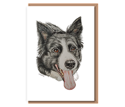 “Border Collie 1” (grey and white collie)