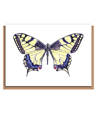 “Swallowtail butterfly”