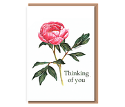 “Solo peony” (pink tonal single flower with leaves) Thinking of you