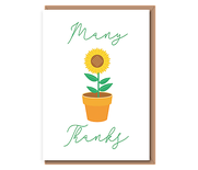 Many Thanks (potted sunflower)