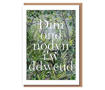 “Sunshine in the forest glades” Dim ond nodyn i'w ddweud