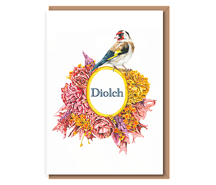 (Golden Finch) – Diolch