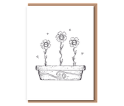 “Baby Daisies” 3 Baby Flowers in Pot