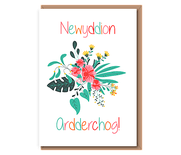 Newyddion Ardderchog!