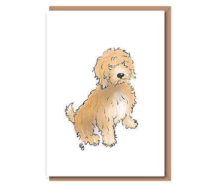 “Joy” – (Cockapoo)