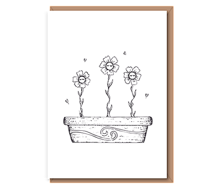 “Baby Daisies” 3 Baby Flowers in Pot