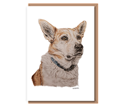 “Welsh Sheepdog”