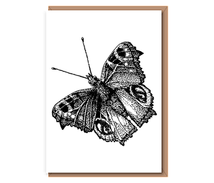 “Peacock Butterfly”