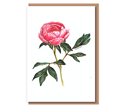 “Solo peony” (pink tonal single flower with leaves)