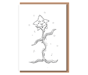 “Growing Groovy” 1 Dancing Star Flower