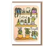 Shelves of houseplants – Cartref Newydd
