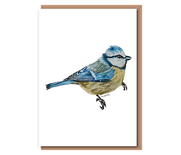 “Bluetit”