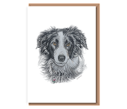 “Border Collie2”