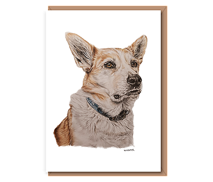 “Welsh Sheepdog”