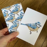 Set of 2 “Bluetit” A6 notebooks (1 of each design)
