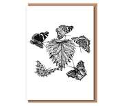 “Nettle butterflies”