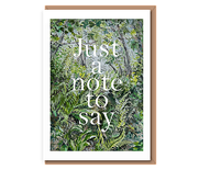 “Sunshine in the forest glades” Just a note to say