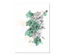 Abstract Mint floral line (text free)