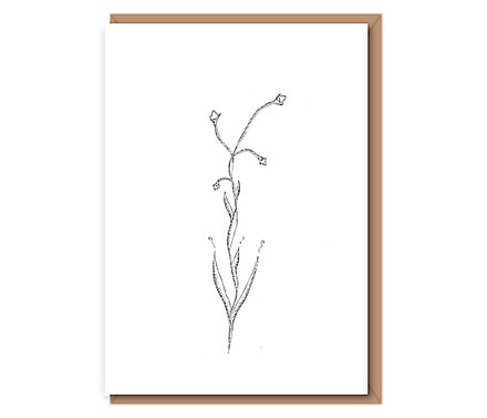 “New Growth” Seed Pod Flower