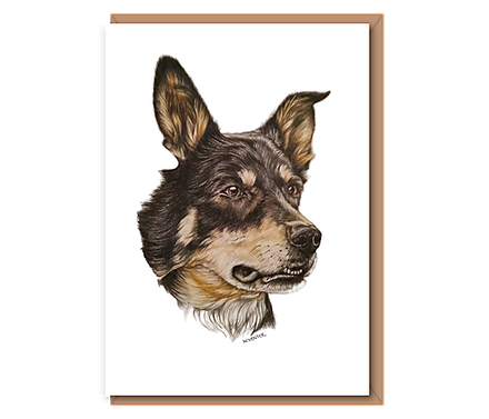 “Hunter Way x Collie”