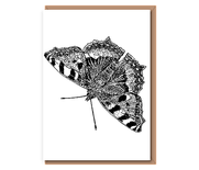 “Small Tortoiseshell Butterfly”