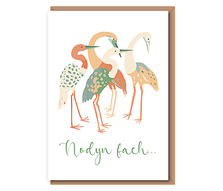 Nodyn fach (cranes)