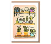 Shelves of houseplants – New Home
