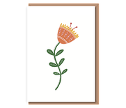 Cartoon protea – peach