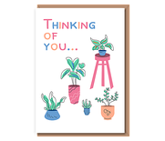 Thinking of you (house plants)