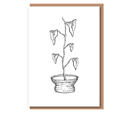 “Thriving Foliage” Leaves in Pot